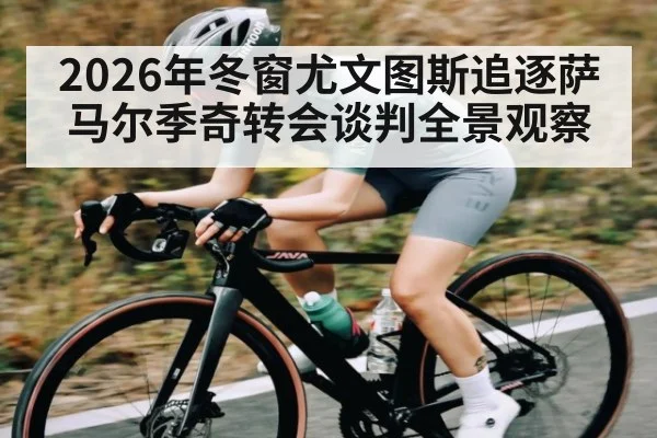 2026年冬窗尤文图斯追逐萨马尔季奇转会谈判全景观察
